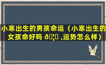 小寒出生的男孩命运（小寒出生的女孩命好吗 🦄 ,运势怎么样）